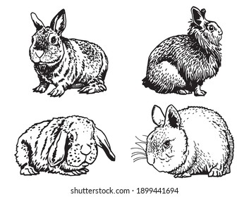 Graphical set of bunnies isolated on white background,vector elements
