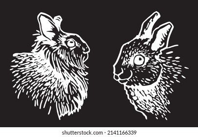 Graphical set of bunnies isolated on black,vector engraved elements