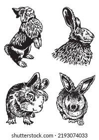 Graphical set of bunnies isolated on white background,vector illustration. Rabbits