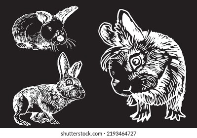 Graphical set of bunnies isolated on black background,vector illustration. Rabbits