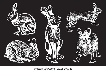 Conjunto gráfico de conejillos aislados en fondo negro, ilustración vectorial, arcos vectoriales, conejos. Animales domésticos y forestales