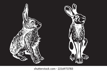 Graphical set of bunnies isolated on black background,vector engraved illustration, Vector hares ,rabbits. Domestic and forest animals