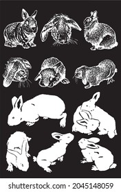 Graphical set of bunnies on black background,vector silhouettes and sketches