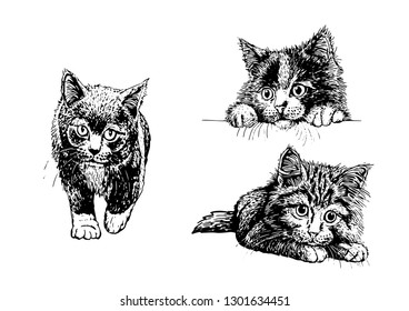 Graphical set of cats isolated on white background, vector sketch