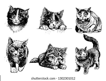 Graphical set of cats isolated on white background, vector sketch