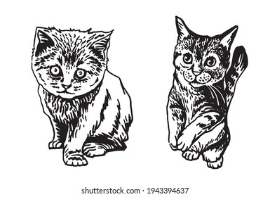 Graphical set of cats isolated on white,vector illustration of pet	