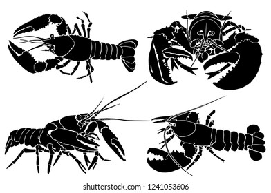 Graphical set of crabs  isolated on white background,lobster, sea food