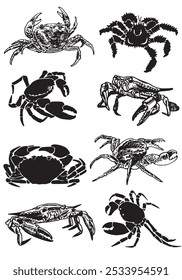 Conjunto gráfico de caranguejos sobre fundo branco, ilustração vetorial