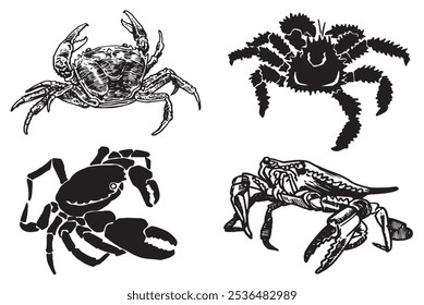 Graphical set of crabs on white background,vector illustration	