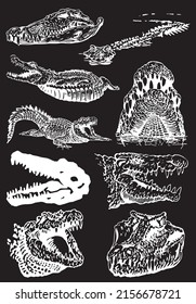Graphical  set of crocodiles isolated on black background, vector illustration