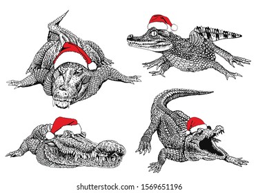 Graphical set of crocodiles in Santa Claus hats isolated on white background,vector new year illustration ,elements for Christmas design