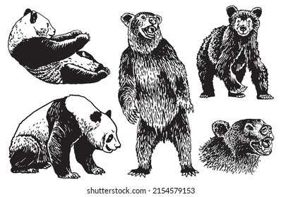 Graphical set of cute hand-drown bears on white, grizzly bear and panda vector elements. Bears for printing, typography ,design,tattoo and logo