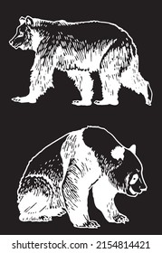 Graphical set of cute hand-drown bears on  black, grizzly bear and panda vector elements. Bears for printing, typography ,design,tattoo and logo