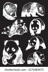 Graphical set of cute pandas isolated on black background, Asian animal, engraved illustration