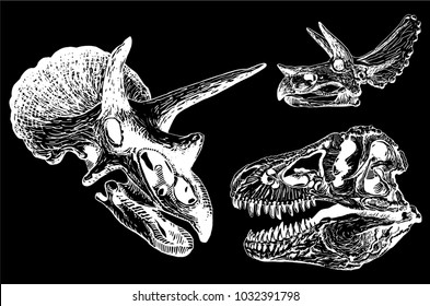 Graphical set of   dino skulls isolated on black background,vector illustration