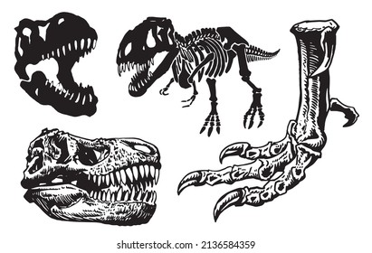 Graphical set of dinosaur elements isolated on white background,vector illustration