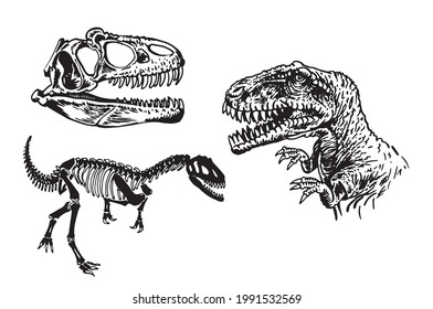 Graphical set of dinosaur isolated on white background, vector paleontological collection