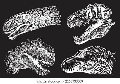 Graphical set of dinosaur portraits isolated on black. Vector heads and skull . Paleontological element