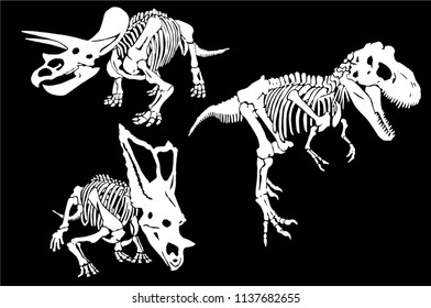 Graphical set  of dinosaur skeletons isolated on black background,vector triceratops