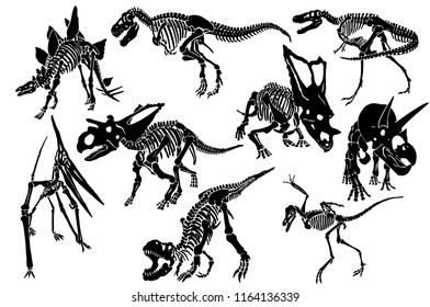 Graphical set of dinosaur skeletons isolated on white background,vector sketch