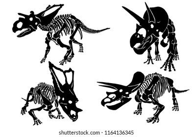 Graphical set of dinosaur skeletons isolated on white background,vector sketch