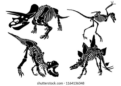 Graphical set of dinosaur skeletons isolated on white background,vector sketch