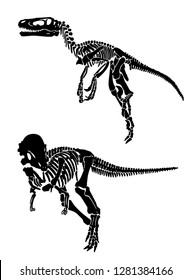 Graphical set of dinosaur skeletons isolated on white,vector illustration,tattoo design