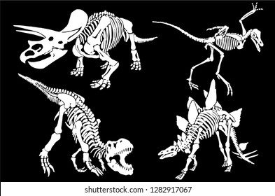 Graphical set of dinosaur skeletons isolated on black background,vector sketch