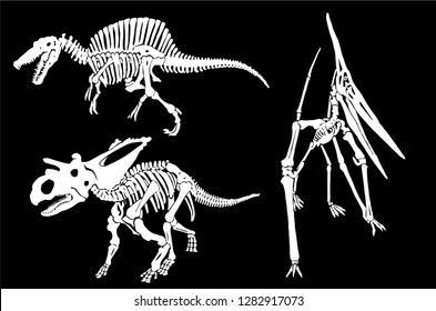 Graphical set of dinosaur skeletons isolated on black background,vector sketch