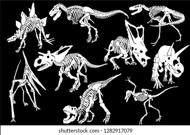 Graphical set of dinosaur skeletons isolated on black background,vector sketch