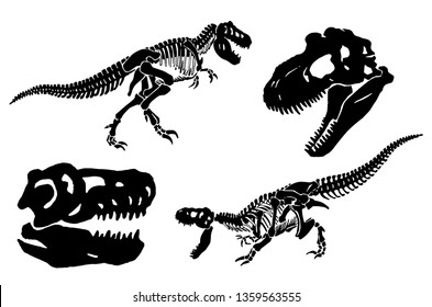 Graphical set of dinosaur skeletons isolated on white background,vector sketch 