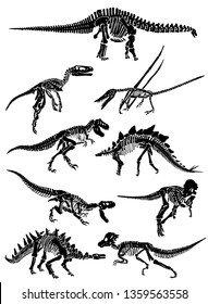 Graphical set of dinosaur skeletons isolated on white background,vector sketch 