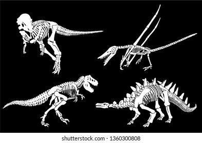 Graphical set of dinosaur skeletons isolated on black background,vector sketch