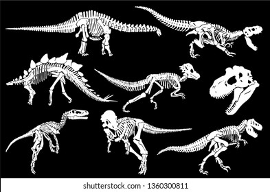 Graphical set of dinosaur skeletons isolated on black background,vector sketch