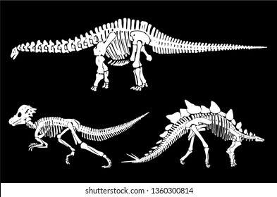 Graphical set of dinosaur skeletons isolated on black background,vector sketch