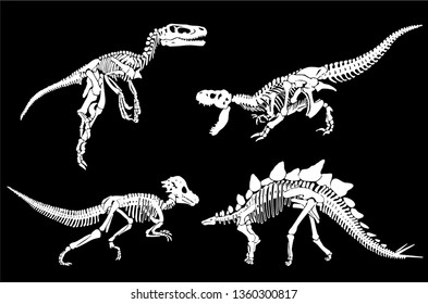 Graphical set of dinosaur skeletons isolated on black background,vector sketch