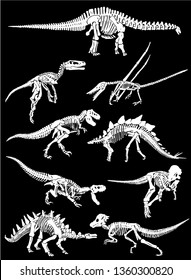 Graphical set of dinosaur skeletons isolated on black background,vector sketch