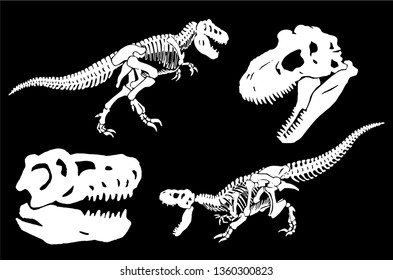 Graphical set of dinosaur skeletons isolated on black background,vector sketch