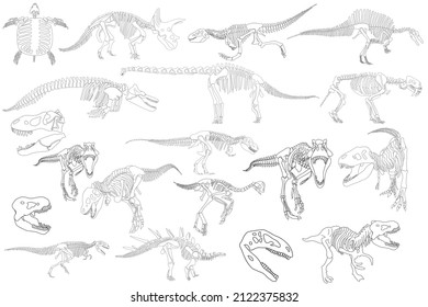 Graphical set of dinosaur skeletons isolated on white background,vector sketch