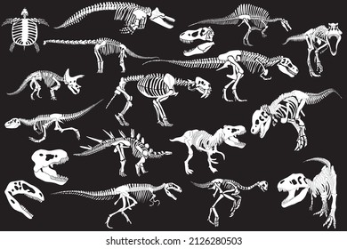 Graphical set of dinosaur skeletons isolated on black background,vector sketch