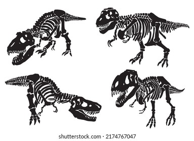 Conjunto gráfico de esqueletos de dinosaurios aislados en fondo blanco, boceto vectorial