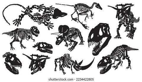 Graphical set of dinosaur skeletons isolated on white background,vector illustration,paleontology