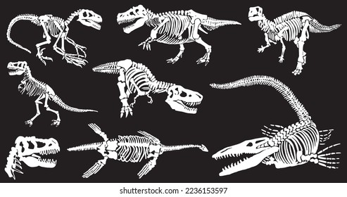 Graphical set of dinosaur skeletons isolated on black background,vector illustration,paleontology