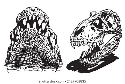 Graphical set of dinosaur skull and crocodile jaw on white ,vector illustration 