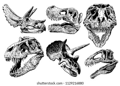 Graphical Set Of Dinosaur Skulls Isolated On White Background,vector Sketchy Illustration For Tattoo And Printing