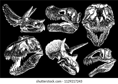Graphical set of dinosaur skulls isolated on black background,vector sketchy illustration for tattoo and printing