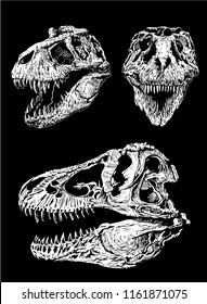 Graphical set of dinosaur skulls isolated on black background,vector sketch, tyrannosaurus skull