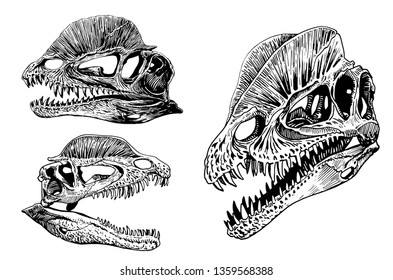 Graphical set of dinosaur skulls isolated on white background,vector sketchy illustration for tattoo