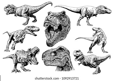 Graphical set of dinosaurs isolated on white background,vector tyrannosaurus,tattoo