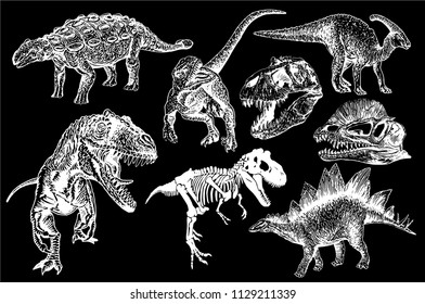 Graphical set of dinosaurs isolated on black background,vector tyrannosaurus, skeleton, skull, ankylosaurus,  parazaurolophus,stegosaurus